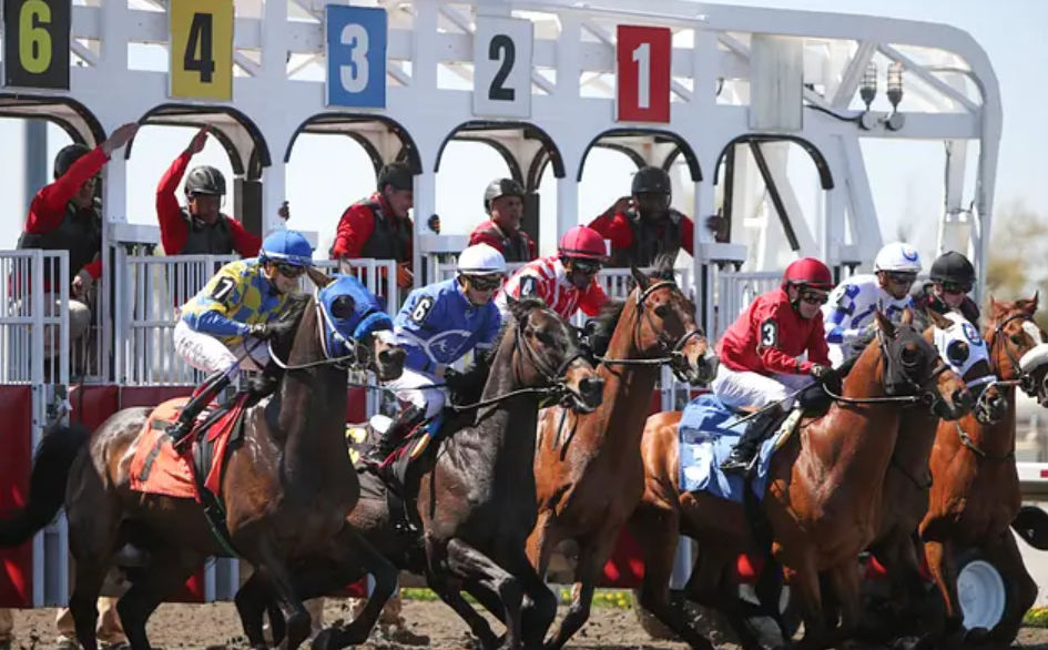 weekturfjournal || weekturf journal